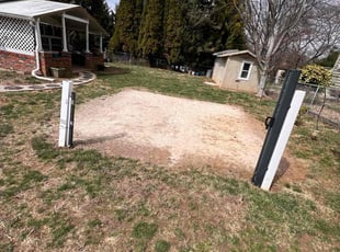 Leaf Removal by Carmelo Dominguez for TINA B. in Media, PA