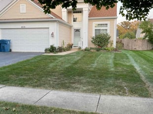 Bessie B.'s Lawn Maintenance service result