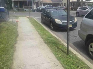Cleanups by Randy Miller for Pierre H. in Trenton, NJ