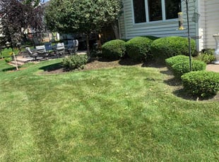 Bush Trimming by Jorge Yanez for Stacy F. in Shorewood, IL