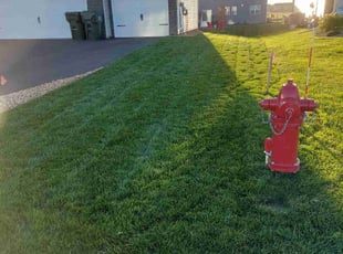 Derek D.'s Grass Cutting service result