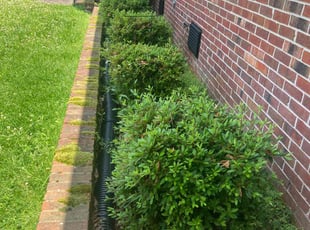 Bush Trimming by Joel Walton for Vernard R. in Suffolk, VA