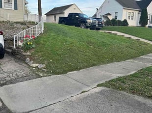 Mike S.'s Yard Cutting service result