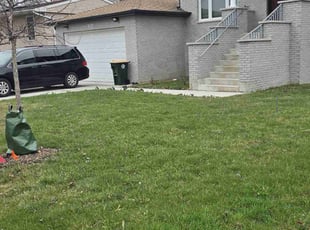 Miguel R.'s Grass Cutting service result