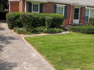 Bush Trimming by Brian Clark for James M. in Decatur, GA