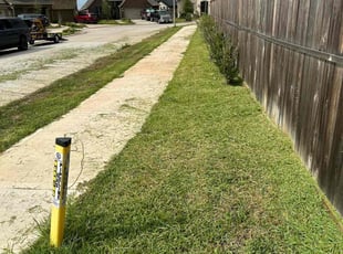 Bush Trimming by Bryan Villatoro for Cheryl C. in Humble, TX