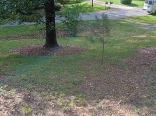 Leaf Removal by Keem James for Jason M. in Durham, NC