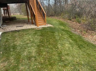Leaf Removal by Ismael Lozano for Jennifer F. in Oakdale, MN