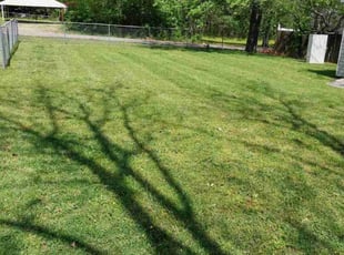 Greg C.'s Lawn Care service result