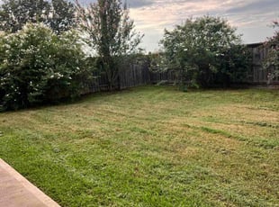 Weeding by Daniela Torres for Travis P. in Richmond, TX
