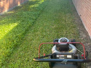 Lin E.'s Lawn Care service result