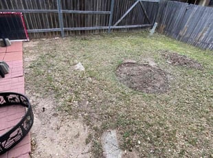 Leaf Removal by Lacy Dixon for Julia M. in Live Oak, TX