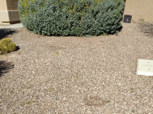 Weeding by Curtis Mccowin for Eric M. in Mesa, AZ