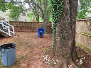 Gregory B.'s Cleanups service result