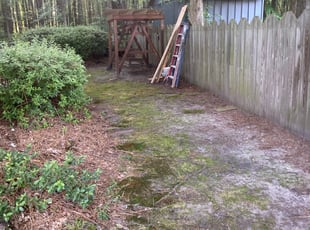 Leaf Removal by Taylor Dodson for Jarrett B. in Chesapeake, VA