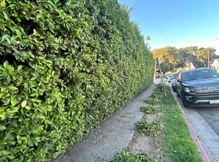 Cleanups by Jacob Gallegos for Dwayne W. in Los Angeles, CA