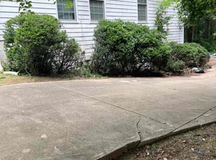 Jonathan R.'s Bush Trimming service result