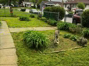 Weeding by Daniel Bunch for Chrisie B. in Columbus, OH