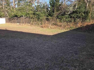Leaf Removal by Anibal Gomez for Ricard Benjamin F. in Berkeley Township, NJ