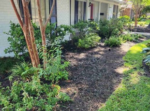 Weeding by Briana Rivera for Allison M. in Houston, TX