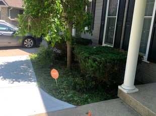 Bush Trimming by Bryant King for Greg S. in Kansas City, MO