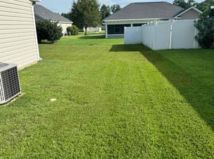Benjamin S.'s Lawn Care service result