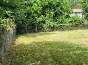 Cleanups by Maria Torres for Jeneene B. in Chicago, IL