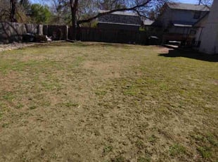 Leaf Removal by Hussein Kamel for Jill C. in Austin, TX