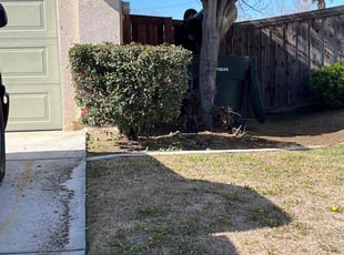 Bush Trimming by Samuel Benavides for Ben M. in San Jacinto, CA