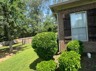 Bush Trimming by Byron Gordy for Alexis K. in Ridgeland, MS