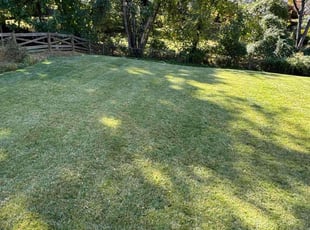 Pamela R.'s Lawn Care service result