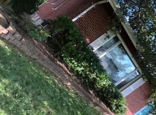 Bush Trimming by Brandon Fiala for Nicholas Y. in St. Louis, MO