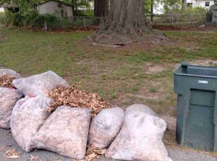 Leaf Removal by Tracey Bunting for Nanette V. in Hampton, VA