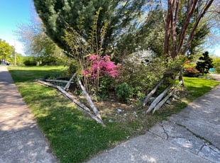 Cleanups by Jose M Rodriguez for Meredith K. in Falls Church, VA