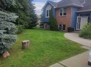 William G.'s Yard Cutting service result
