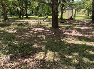 Leaf Removal by Jeremy Ervin for Jeff M. in Canton, MS