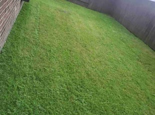 Cleanups by Pamela Gomez for SHERICE M. in Houston, TX