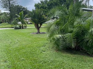 Susan C.'s Lawn Mowing service result