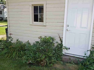 Bush Trimming by Anthony Grant for Michael R. in Saint Paul, MN