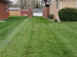 Richard R.'s Lawn Service service result