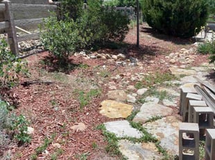 Weeding by Mike Kipp for Kasie S. in Colorado Springs, CO