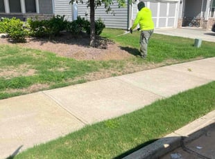 Weeding by Toni Feaster for Aaron S. in Decatur, GA