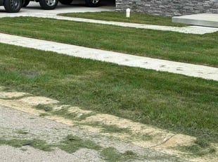 Tiajuana B.'s Lawn Service service result