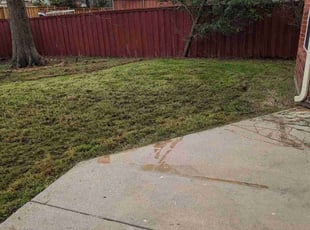 Cleanups by Elizabeth Cruz for Kaitlin U. in Plano, TX
