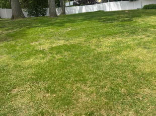 Dwight B.'s Lawn Care service result