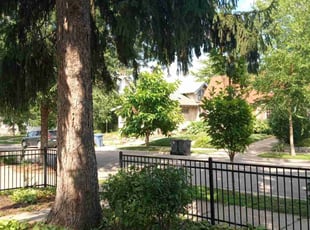 Bush Trimming by Richard Kidman for Steven B. in Minneapolis, MN