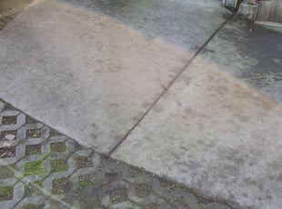 Leaf Removal by Rikis Oliva for Dave C. in Seattle, WA
