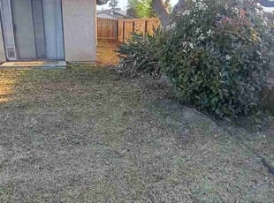 Cleanups by Daisy Guillen-Ramos for Linda F. in Bakersfield, CA