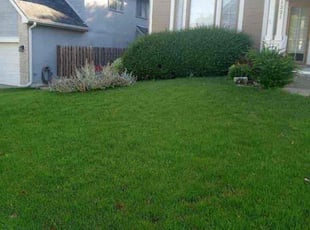Jeffrey K.'s Grass Cutting service result