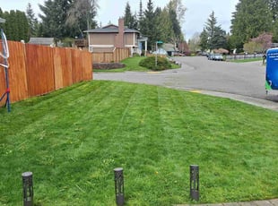 Amy M.'s Lawn Maintenance service result